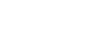 immagine del logo Disenia