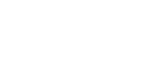logo del brand Paini